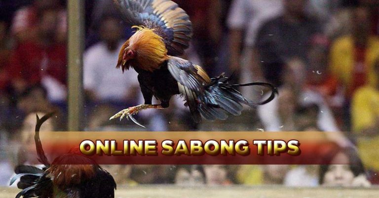 Live Sabong Tips and Tricks to Win Consistently